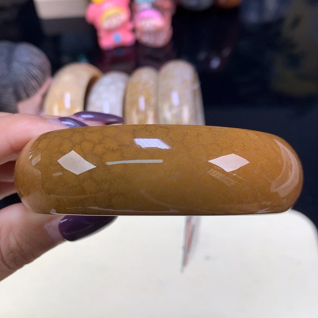 【闪购商品】颈饰未镶嵌硅化珊瑚（珊瑚玉）精品手镯60.3（17号）