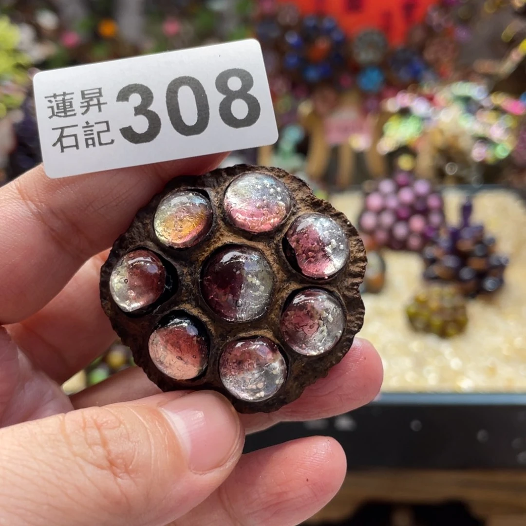 核桃木/黑胡桃（胡桃木）?****?308
