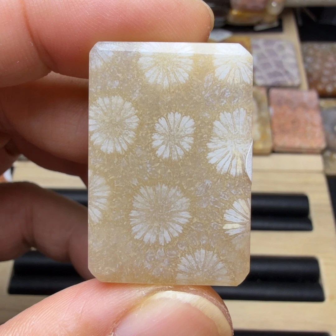 硅化玉未镶嵌纯天然色有机玉石保真色