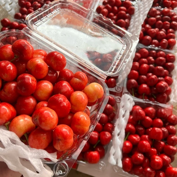 硬甜脆黄红布鲁克斯包邮孕妇水果大樱桃车厘子纯甜特级果高档水果