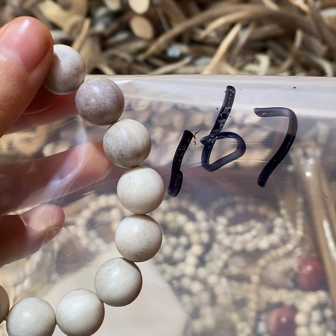 老***号非金属鹿角鹿角鹿角