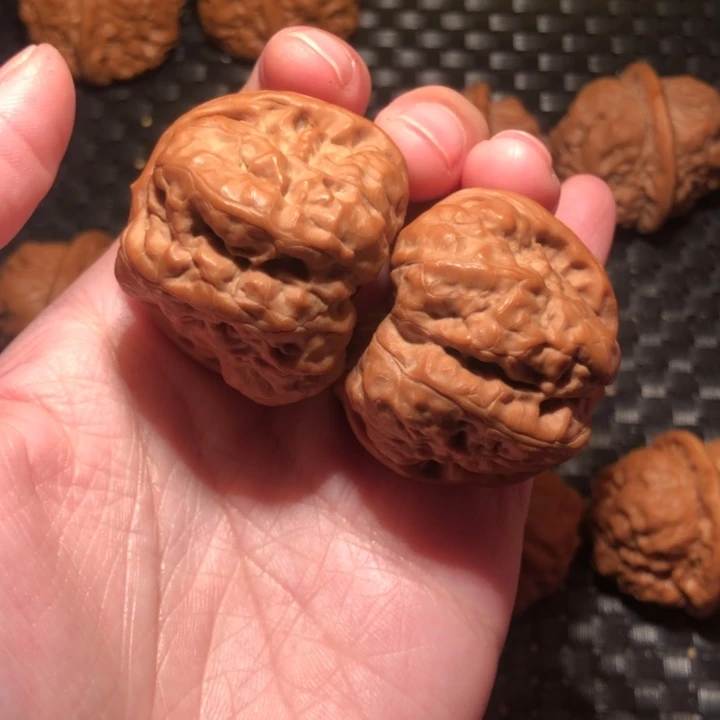 奥***森把件文玩核桃蛤蟆
