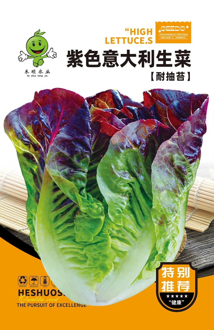 紫色意大利生菜富含花青素可生吃耐热工厂自营新款种子(拍2送1)