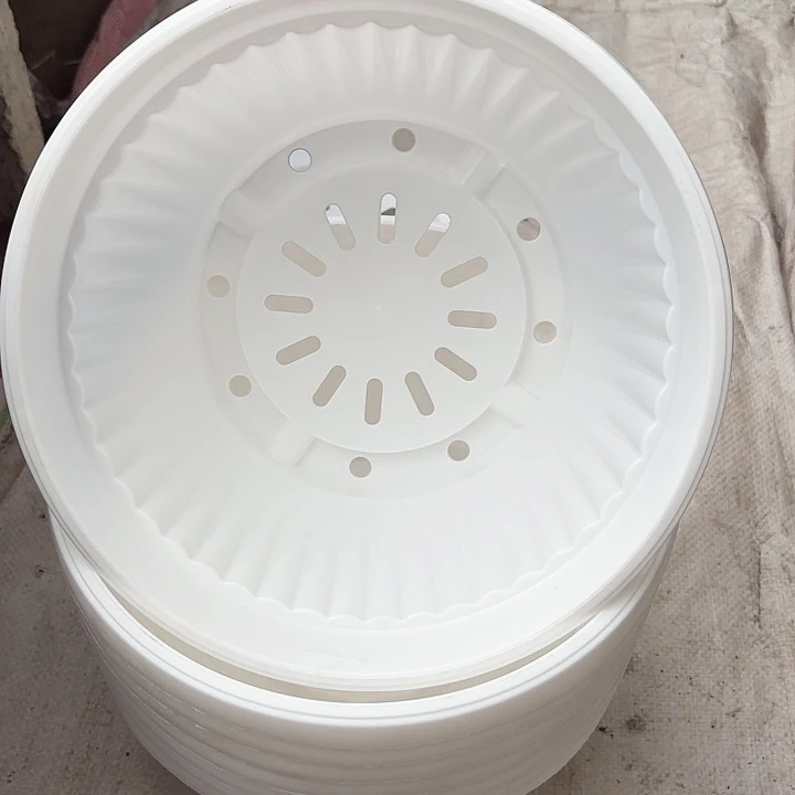 24公分白色聚宝盆7个