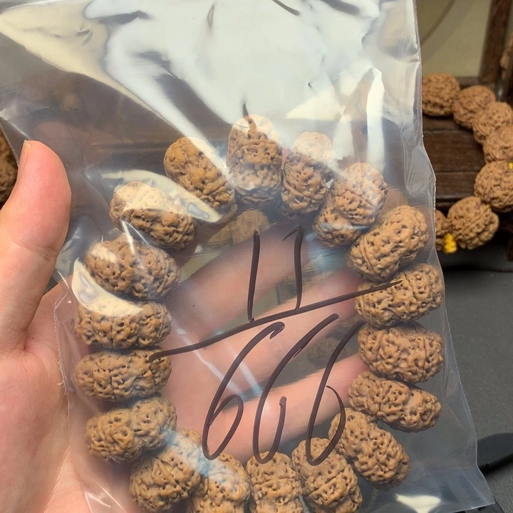 阿***跑金刚菩提吊坠11///////////