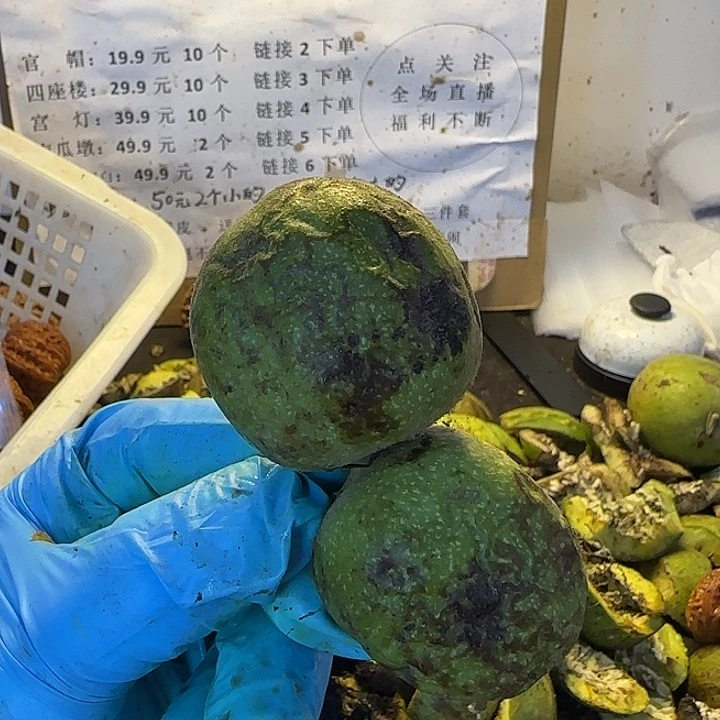 吊坠文玩核桃白狮子连枝2颗小