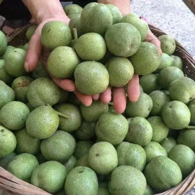 庆阳鲜核桃9斤包邮