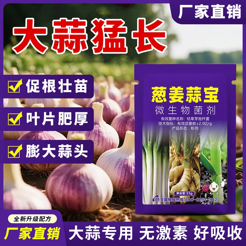 大蒜专用肥防干尖软腐加快大蒜生长补充营养微生物肥料