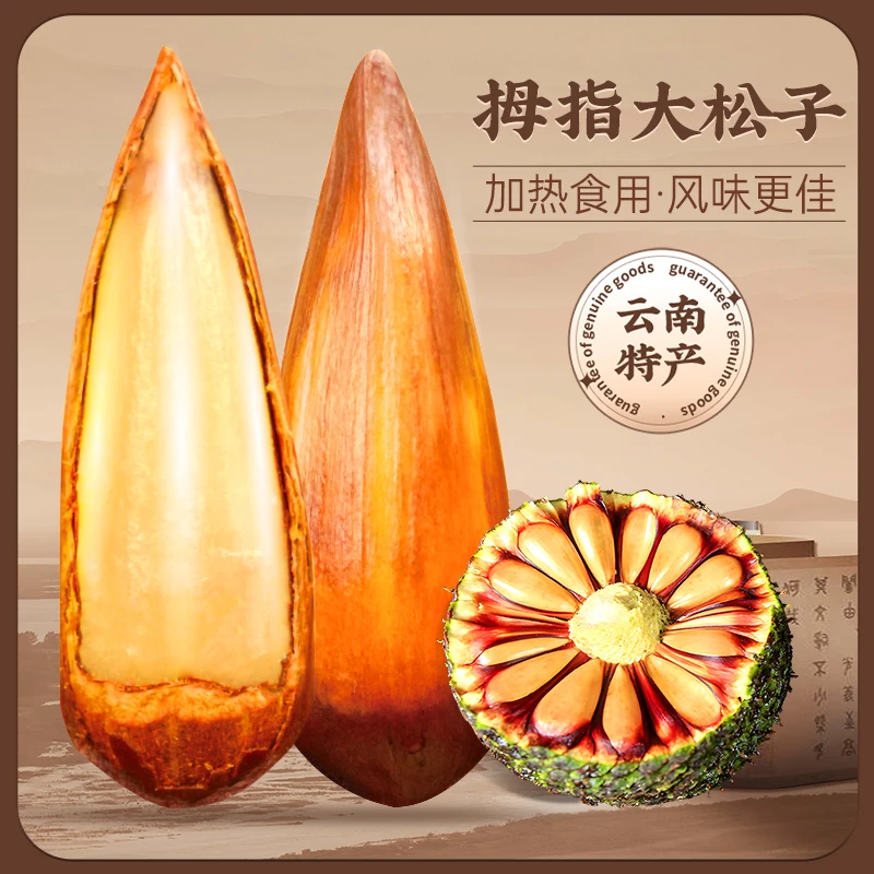 拇指大松子 熟食开袋即食的巴拉-那松 原味食用果实加热口感更好