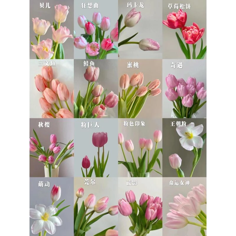 方德郁金香组合（两单升级空运）