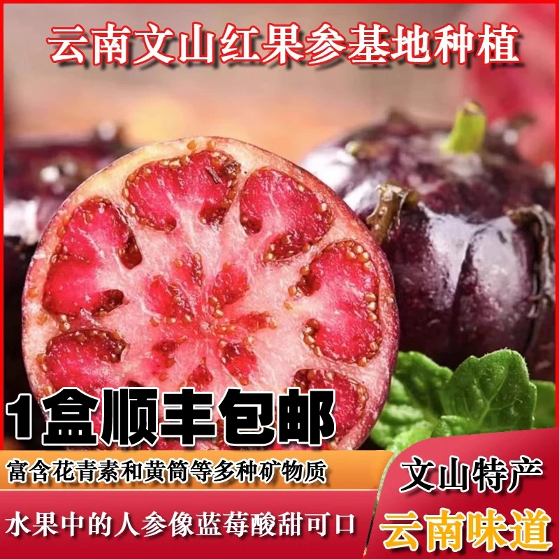 顺丰包邮云南红果参 新鲜水果当季蜘蛛果稀罕见现摘精选多汁珍惜