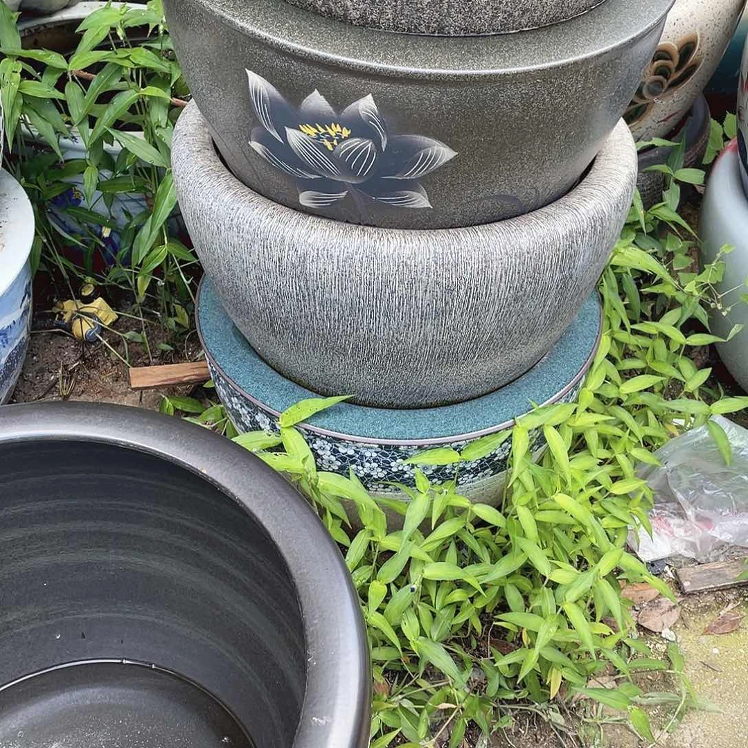 缸荷花图片款53✖️33➕圆底座
