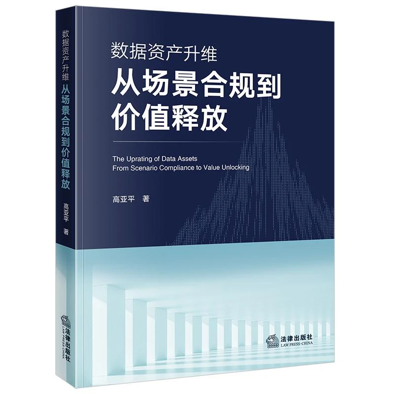 数据资产升维：从场景合规到价值释放 高亚平著 法律出版社