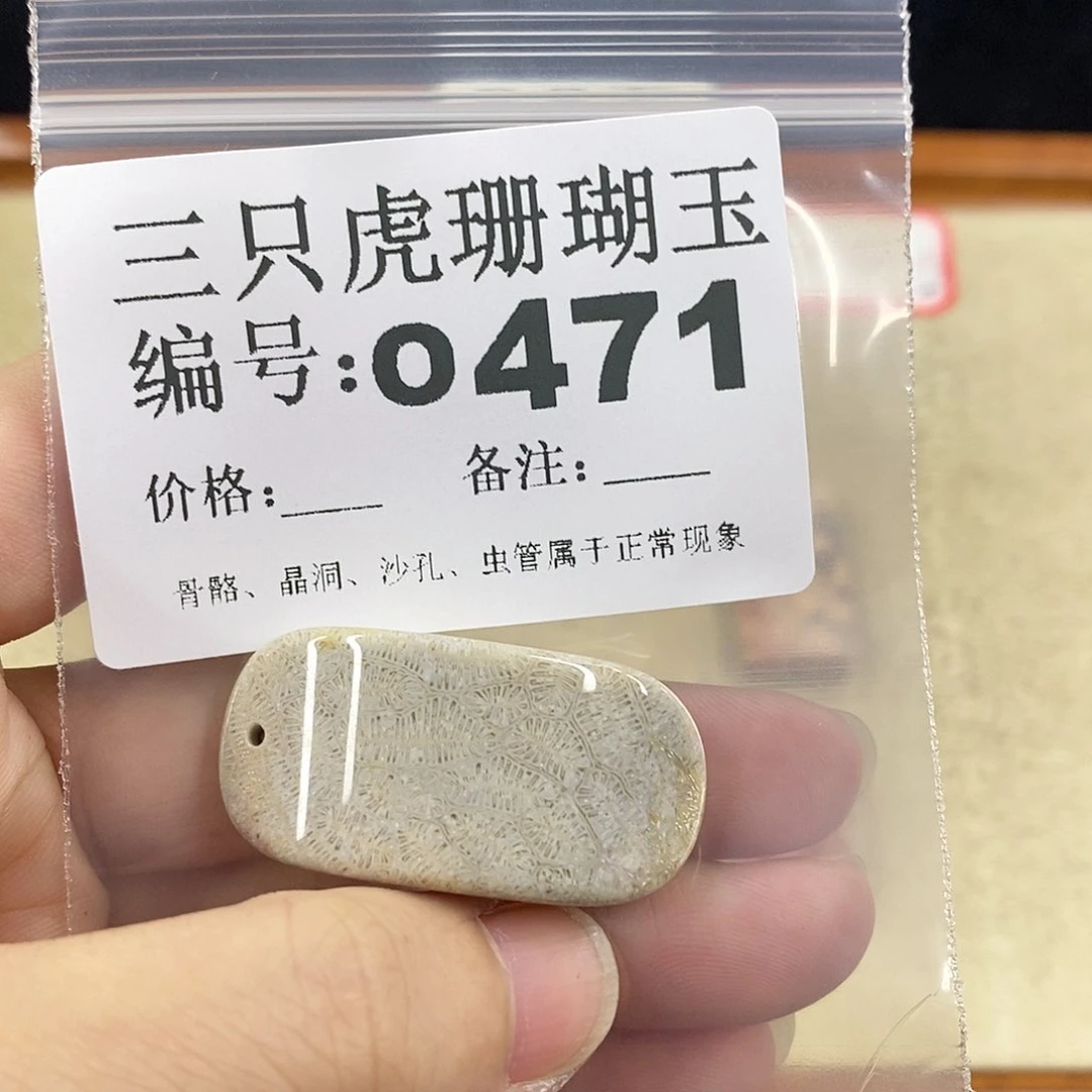 硅化珊瑚（珊瑚玉）1未镶嵌晴**月