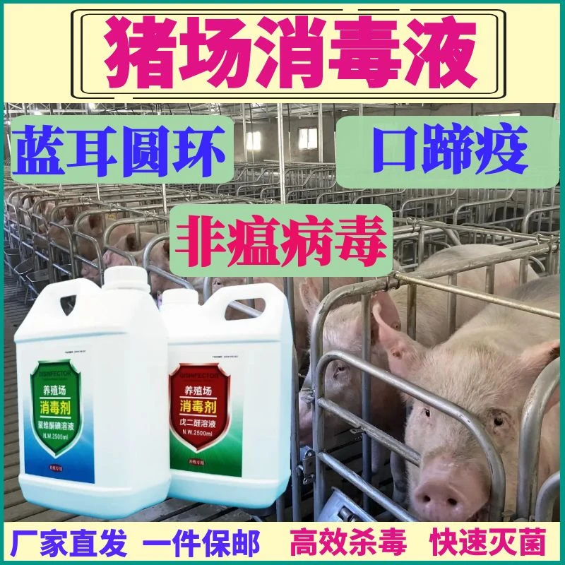 猪场专用消毒液聚维酮碘戊二醛消毒剂猪圈消毒专用可杀灭非瘟病毒