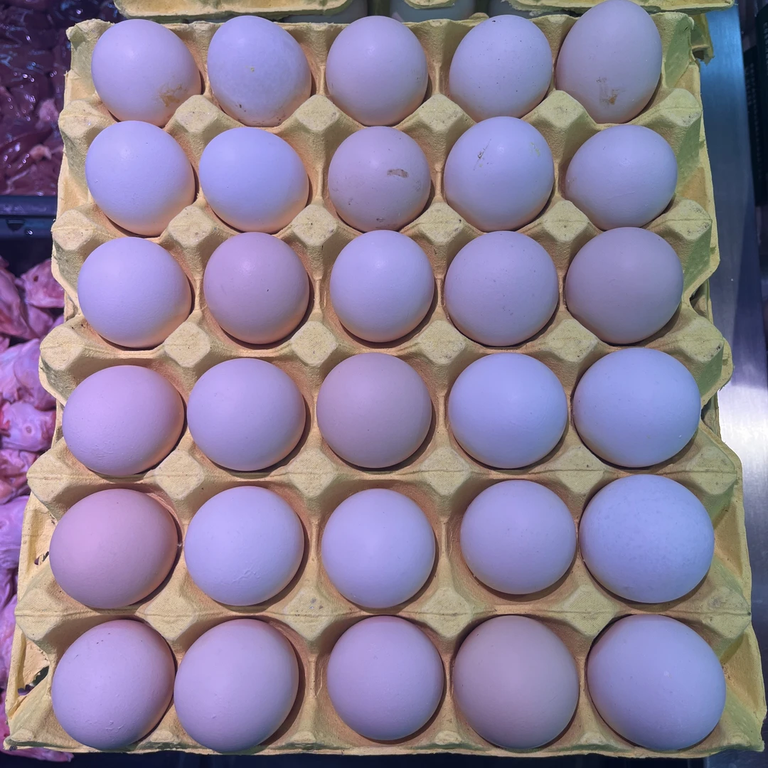 虫草蛋 鸡蛋 2斤左右（鸡货）