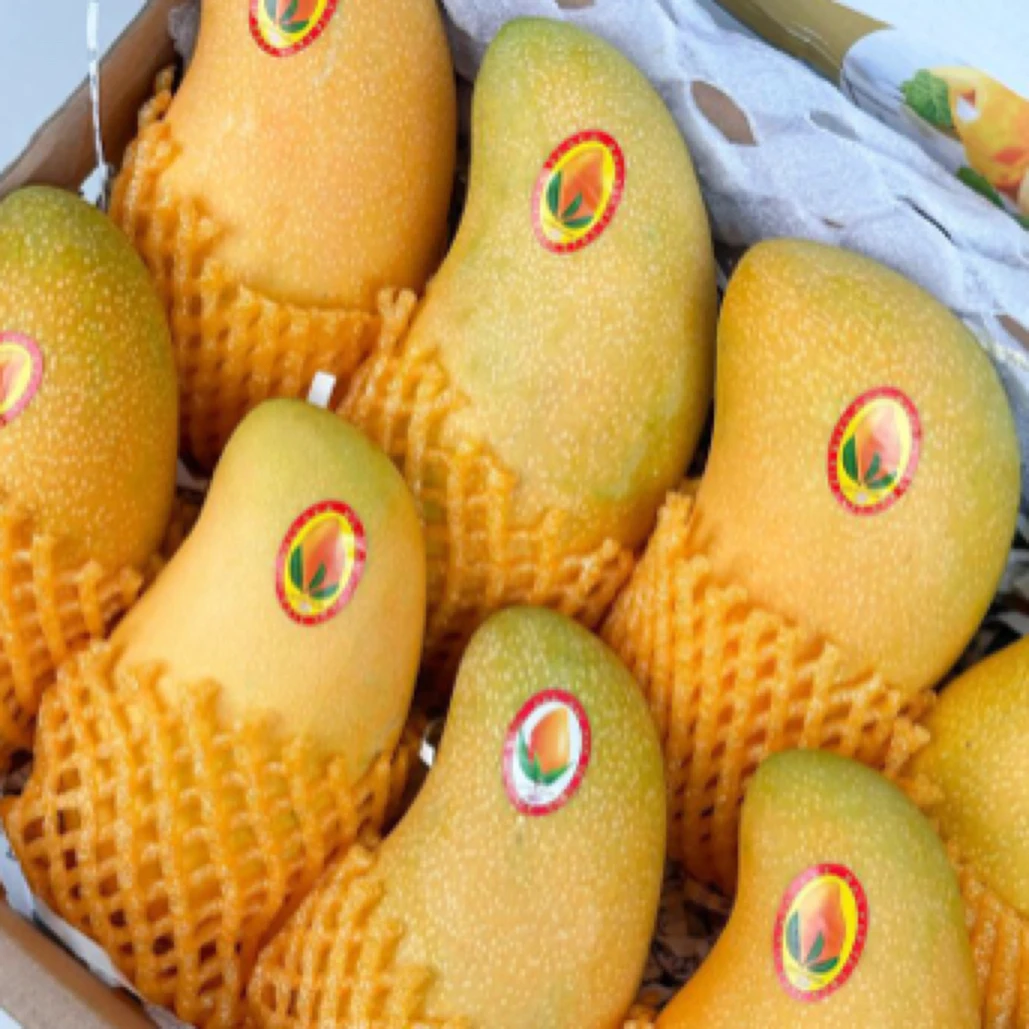 金煌芒一份（4斤左右）