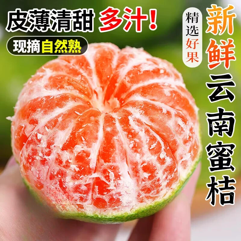 现摘广西青皮蜜橘酸甜多汁无籽当季新鲜水果适合孕妇《果小偏酸》