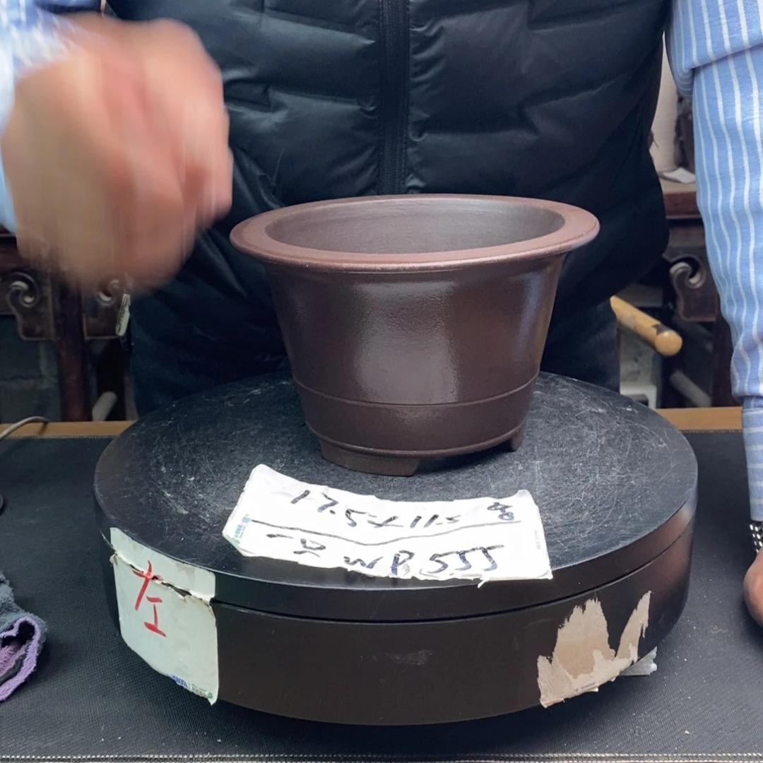 紫砂货号一只WP555