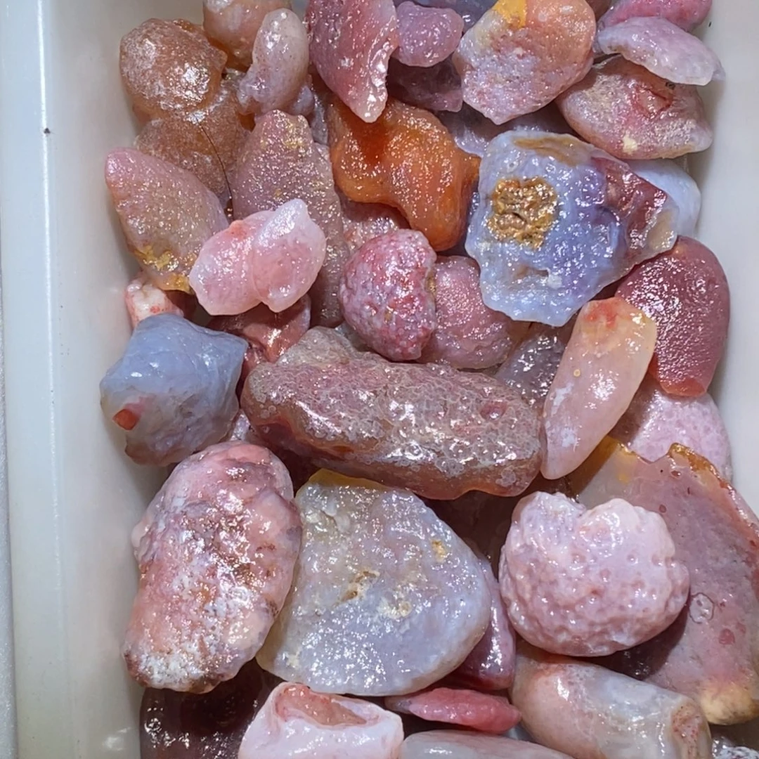 日****阿拉善得粉色花盆石