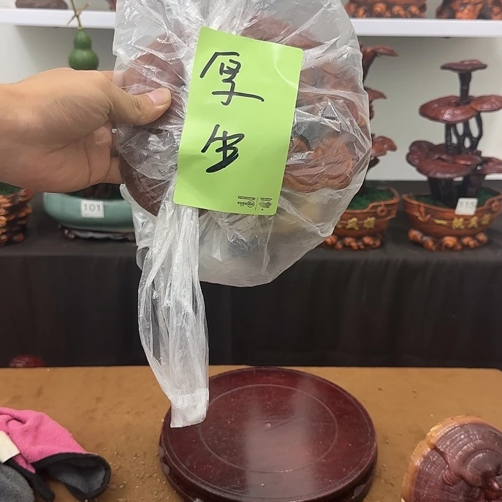 厚***生无花朵灵芝盆景居家盆景