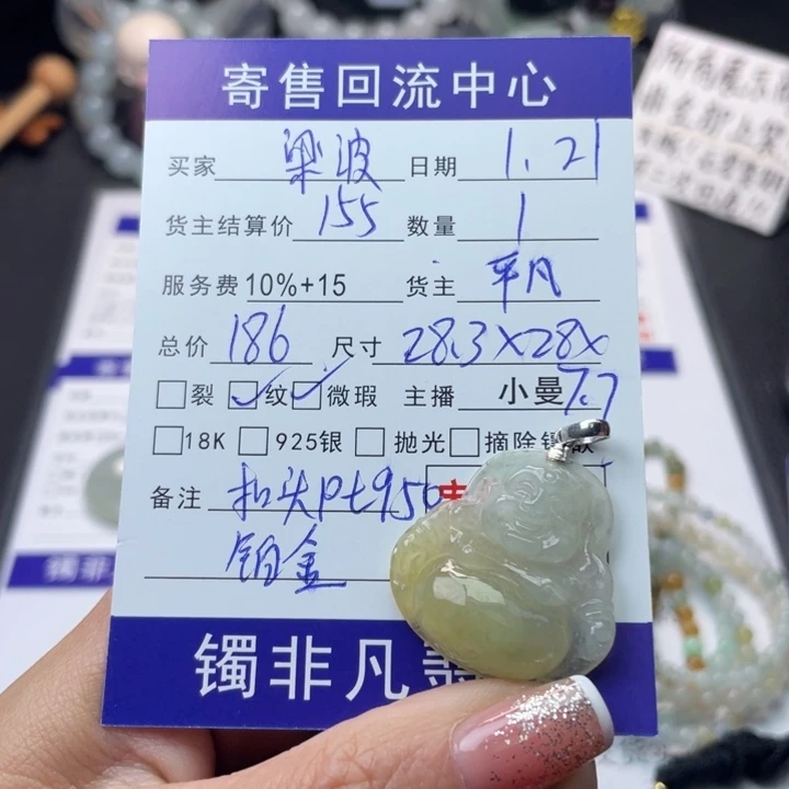 翡翠颈饰铂Pt950镶嵌梁**儿