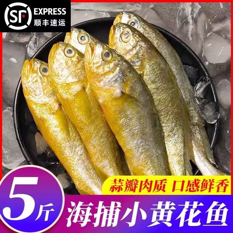 【顺丰包邮抢5斤】野生小黄花鱼新鲜冷冻黄花鱼非养殖煎清蒸红烧