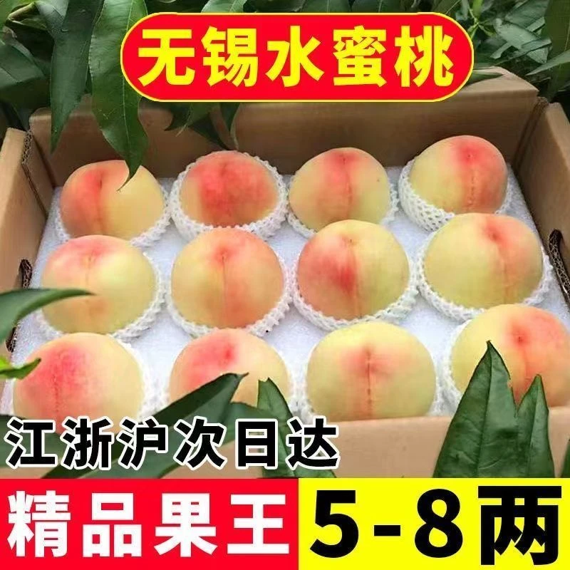 【买6送6到手12只】礼盒装正宗无锡水蜜桃新鲜水果应季白凤湖景软桃