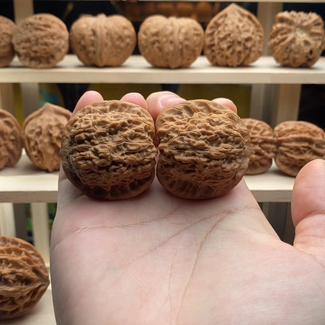 核桃血麒麟37全品
