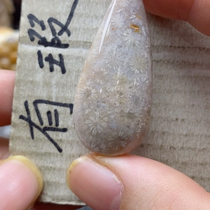 硅化珊瑚（珊瑚玉）颈饰未镶嵌