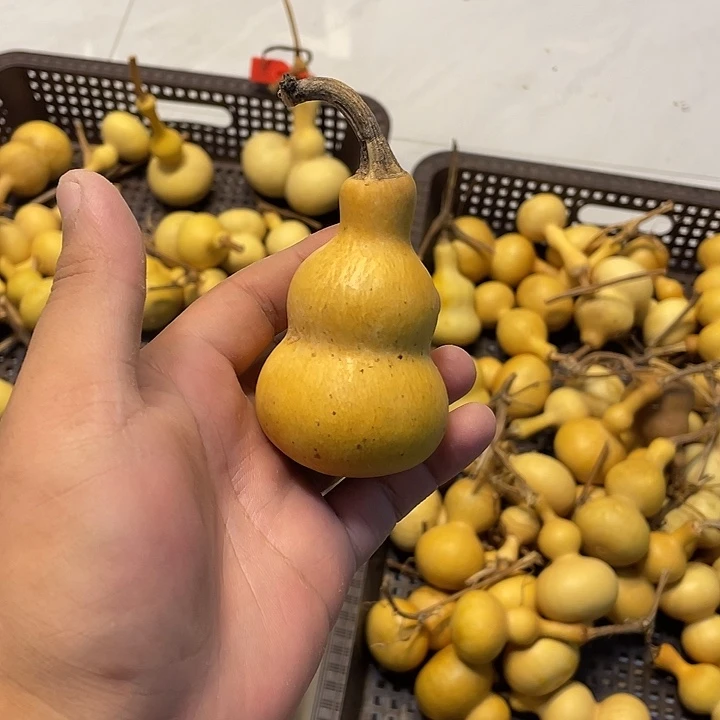 鄠***刘感谢大哥支持兄弟