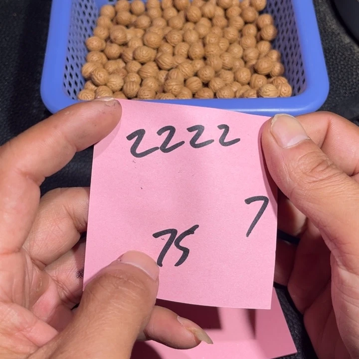 z***z桃核吊坠野生小核桃7