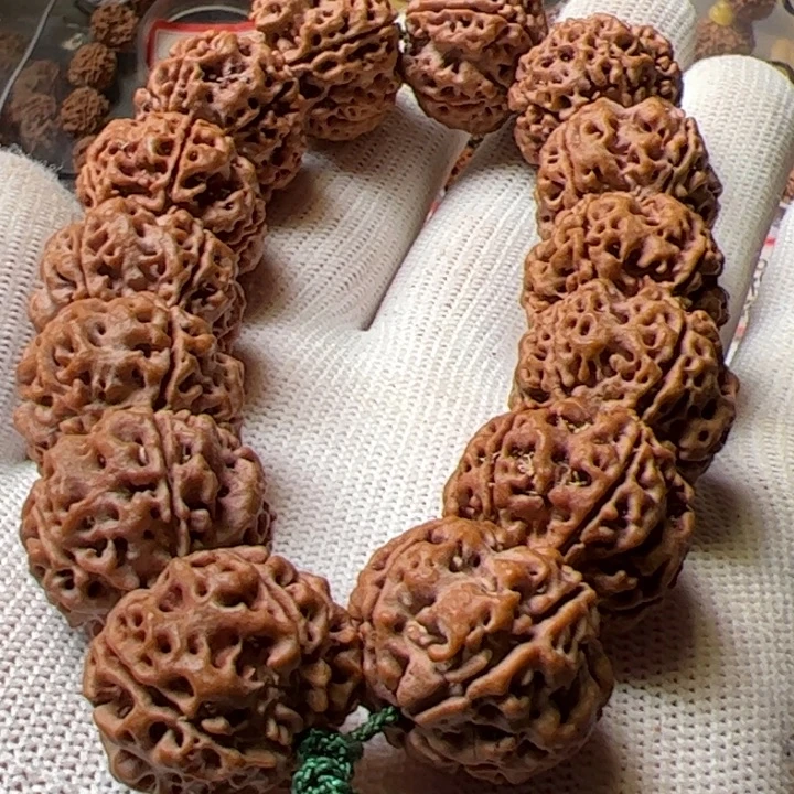 手串金刚菩提23蜂窝梅花双龙