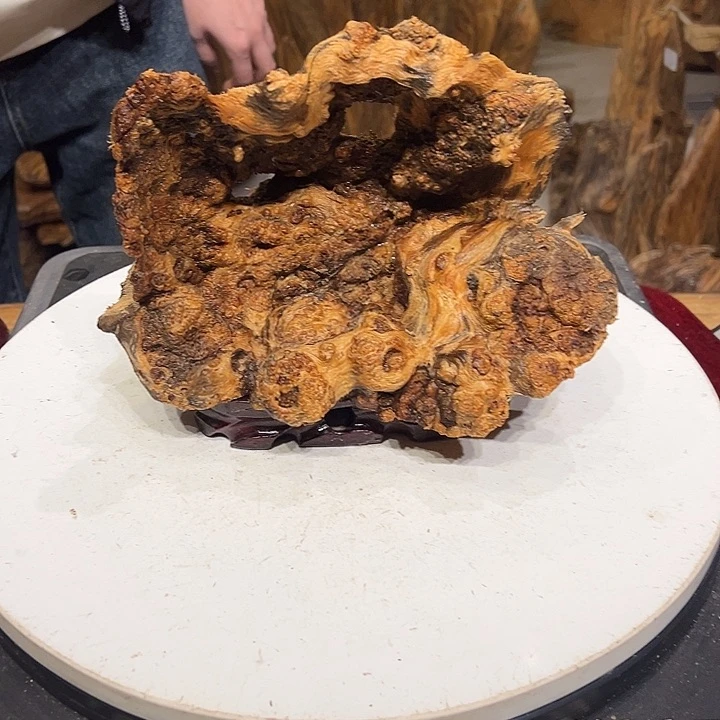 松木（琥珀木）三*