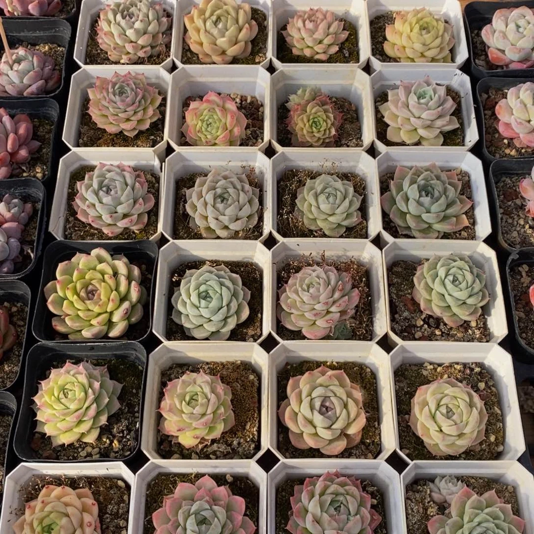 228多人在一起的时候