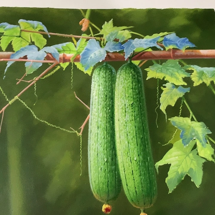 油画50*60手绘油画