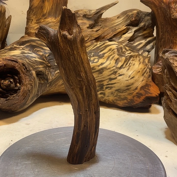 无***哥木直播间一物一拍