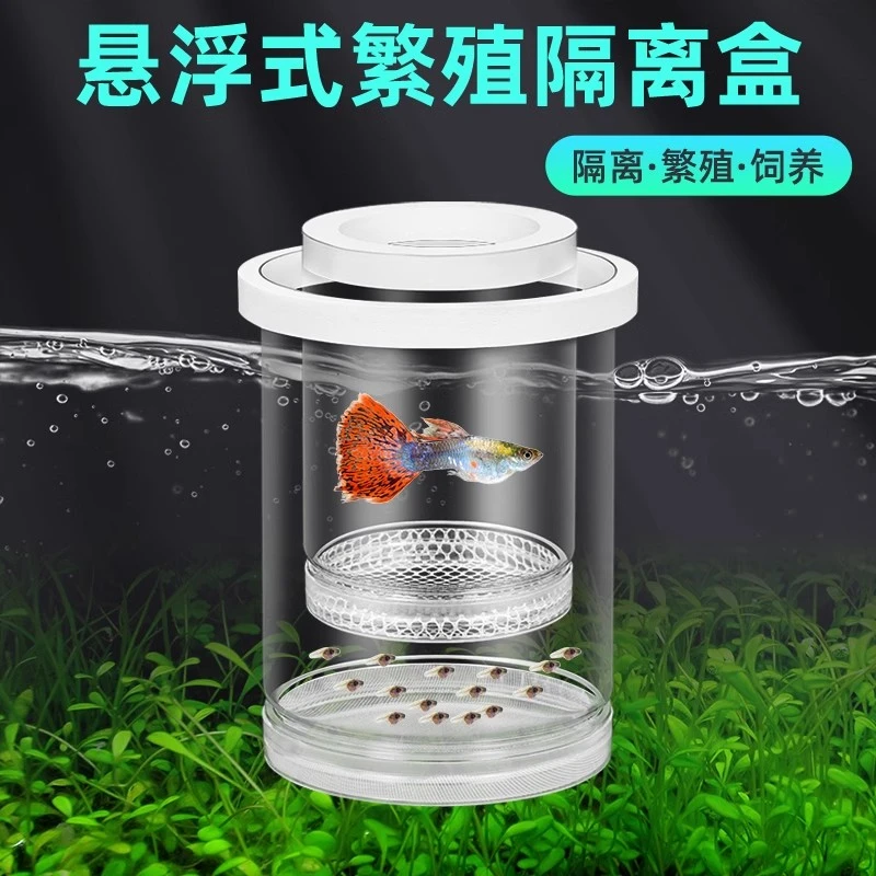 【孔雀鱼繁殖盒】鱼缸小鱼苗隔离盒母鱼幼鱼漂浮孵化盒悬浮式孵化