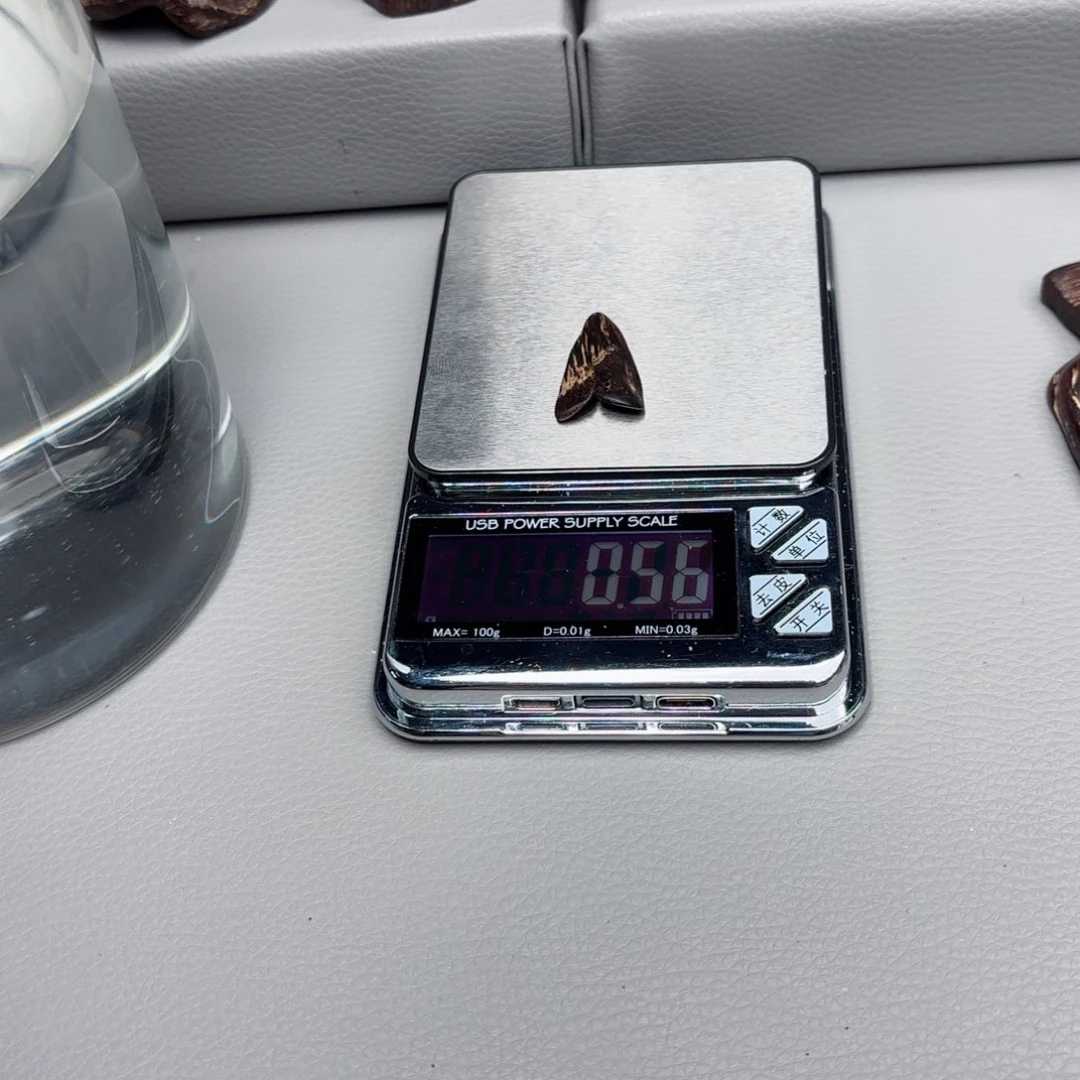 禅*堂文莱文莱文莱文莱