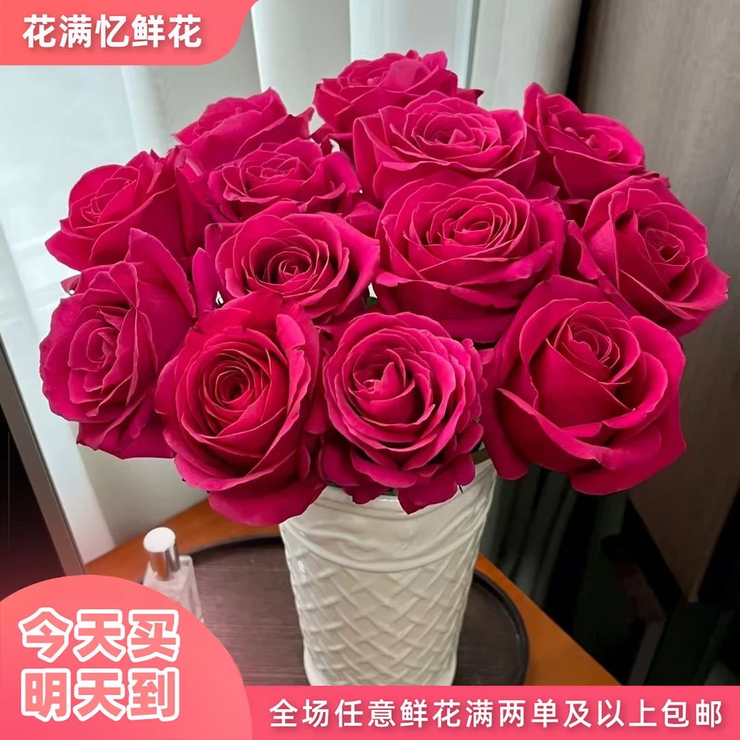 次日达-【弗洛伊德玫瑰】弗洛伊德10支鲜花直播任意两单升级顺丰包邮三单送随机花瓶一个
