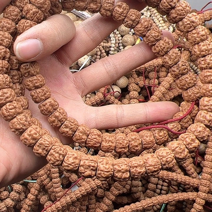 金刚菩提手串家**金藏式