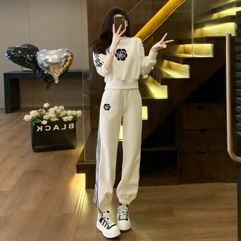 【粉丝专属】2件套春秋季女插肩款套装宽松圆领轻奢休闲套装女511