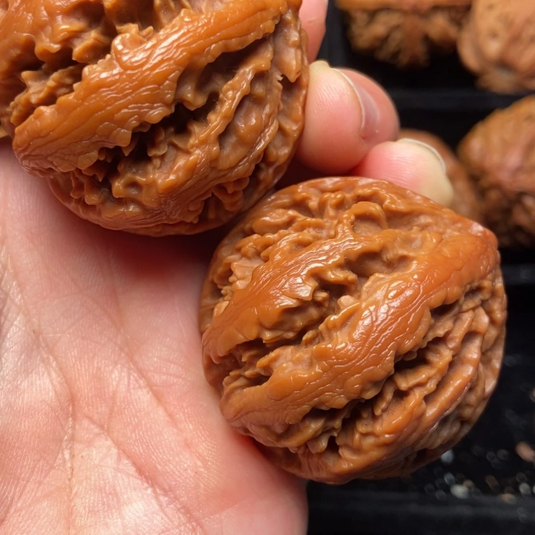 文玩核桃把件秦岭山脉核桃