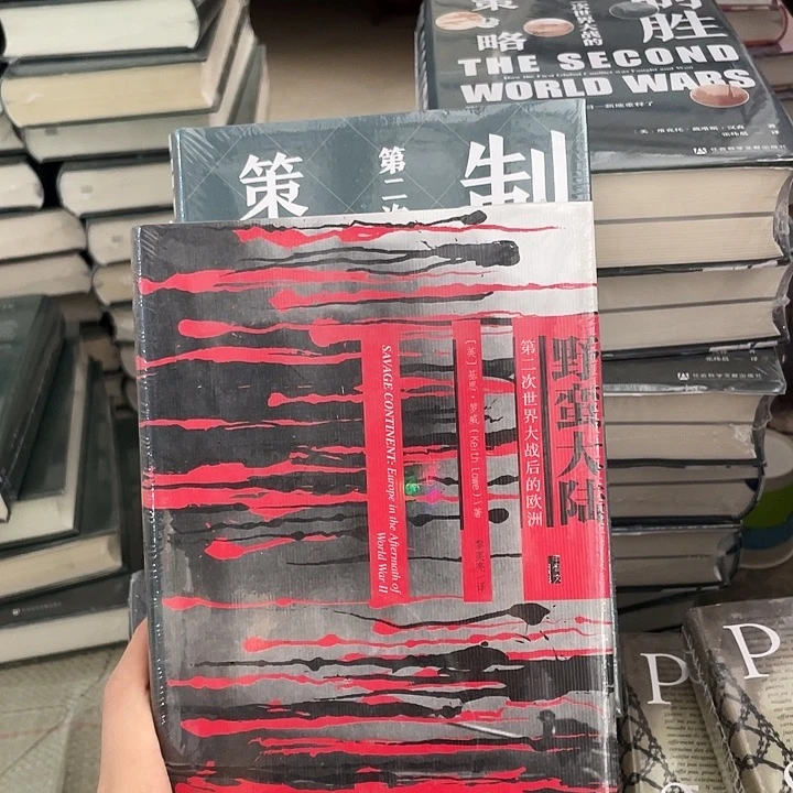 野蛮大陆：微瑕图书