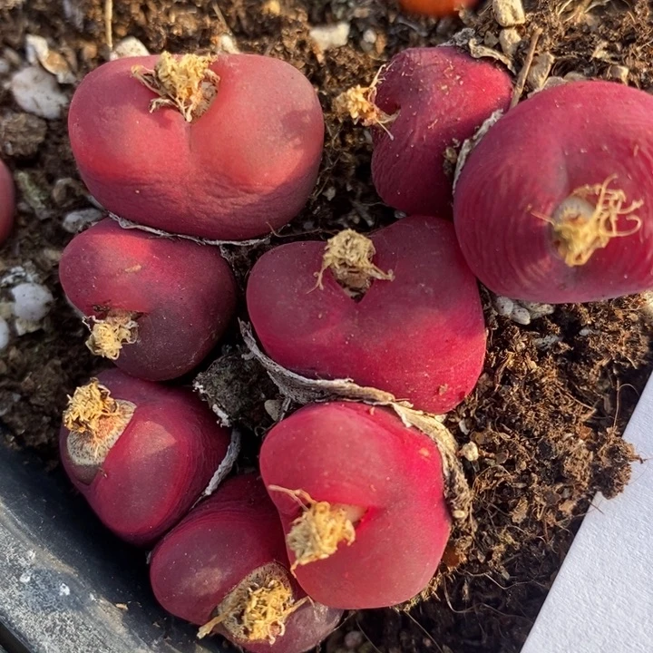 17102一组一组一组