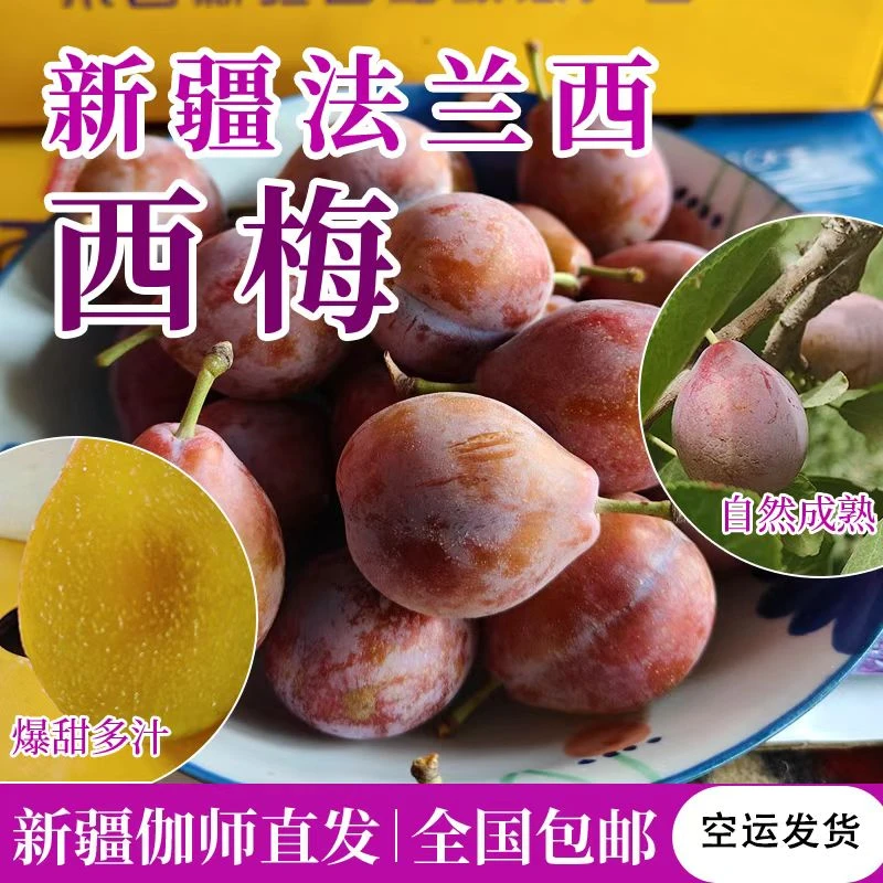 【顺丰包邮】正宗新疆喀什法兰西西梅应当季新鲜孕妇水果李子整箱