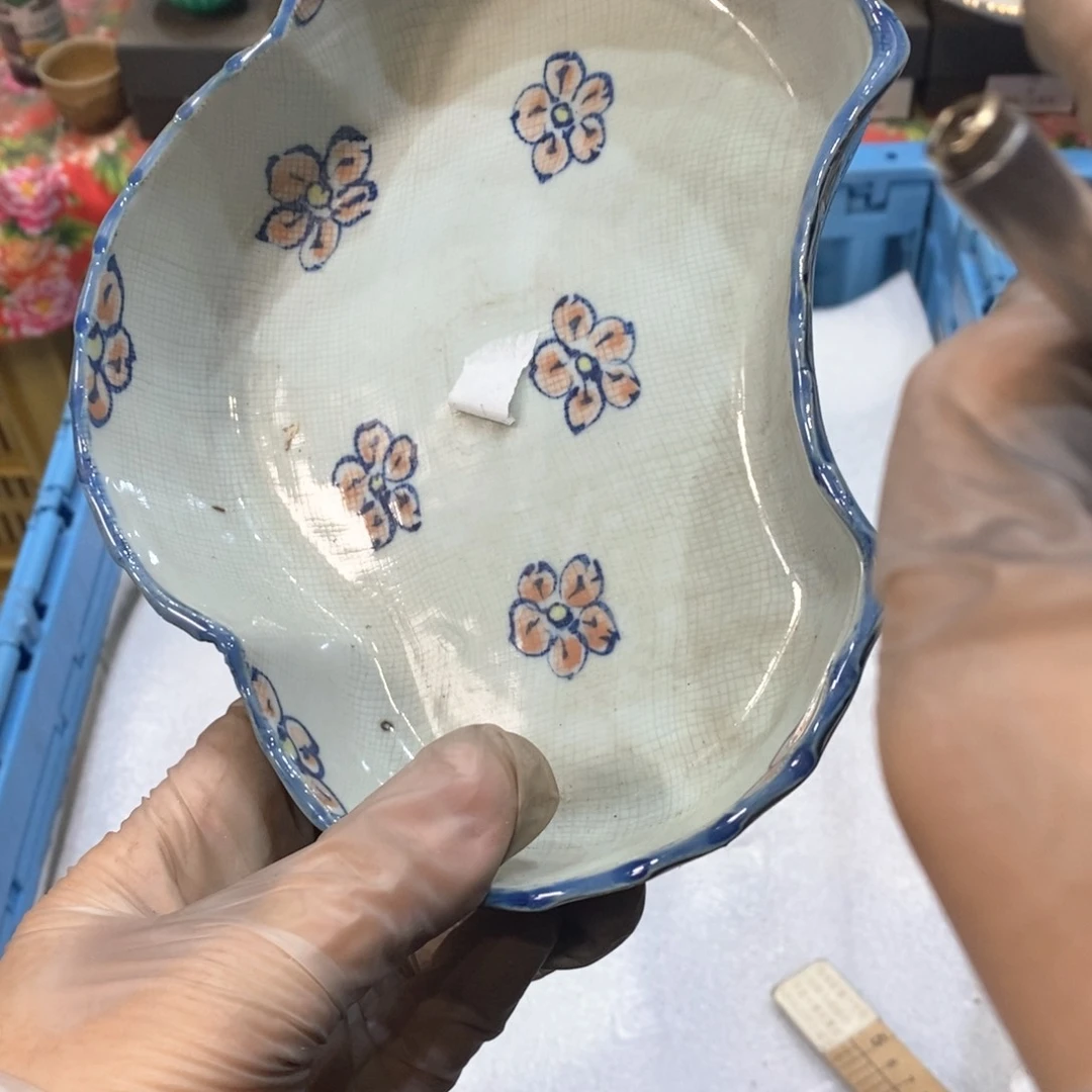 瓷片楚*几乎哈哈哈哈哈哈