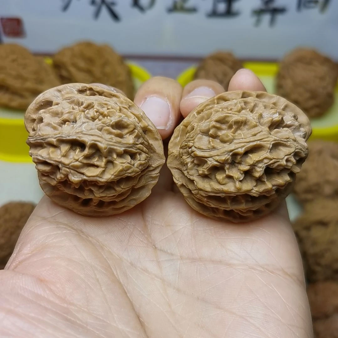 苹果园异形 天使之翼