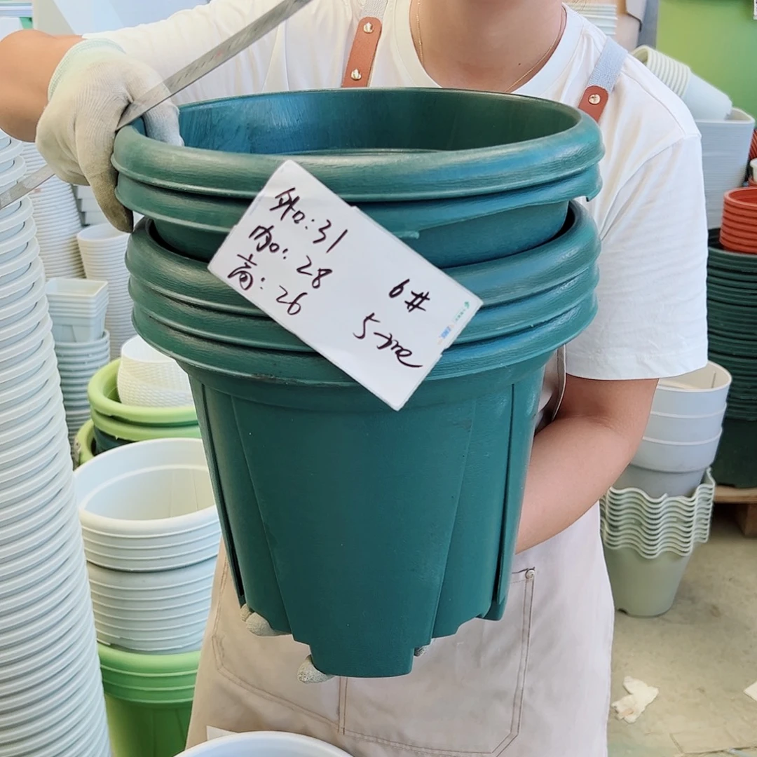 瑕疵青山盆6#墨绿色6个无托