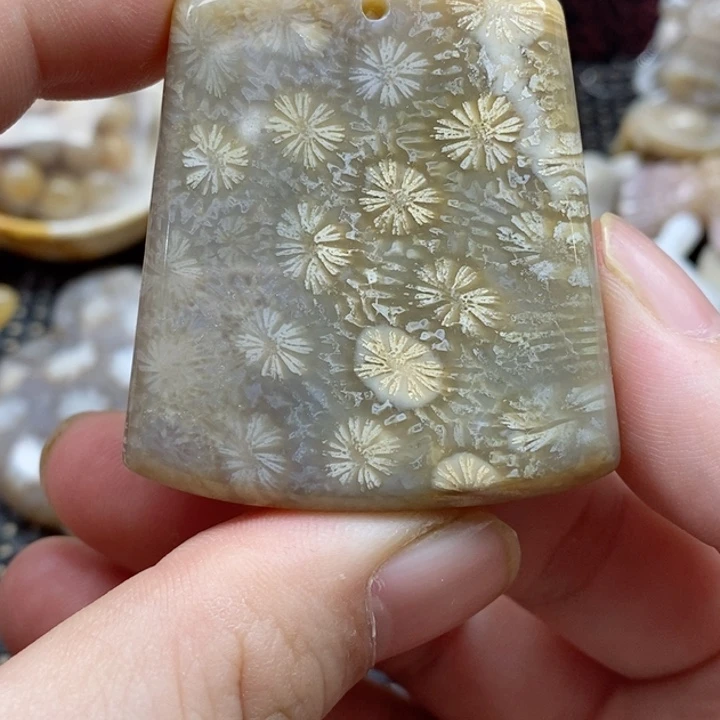 硅化珊瑚（珊瑚玉）颈饰未镶嵌